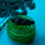 Cannabis Expert