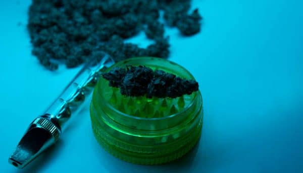 Cannabis Expert