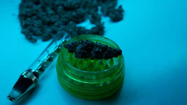 Cannabis Expert