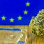 Illegal Weed Shops