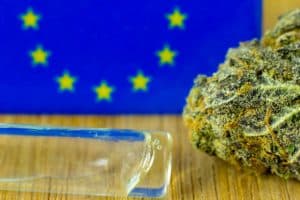 Illegal Weed Shops