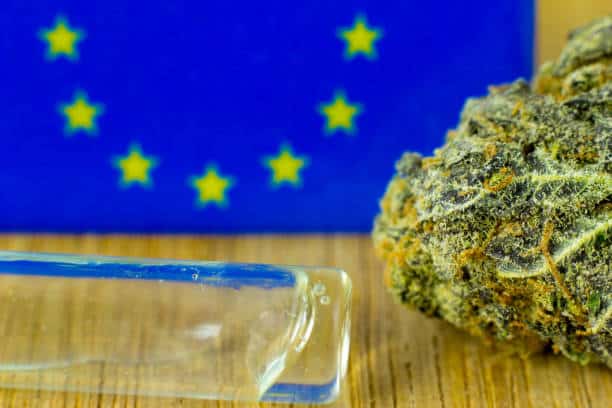Illegal Weed Shops